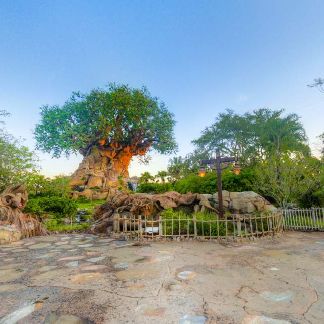 Virtual tour image of Walt Disney World Resort (Animal Kingdom) for Visit Orlando website. Created in house, full usage rights.