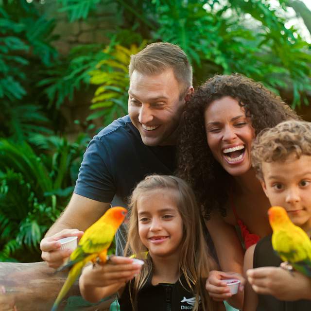 Paradise Found: The Perfect Family Day at Discovery Cove®