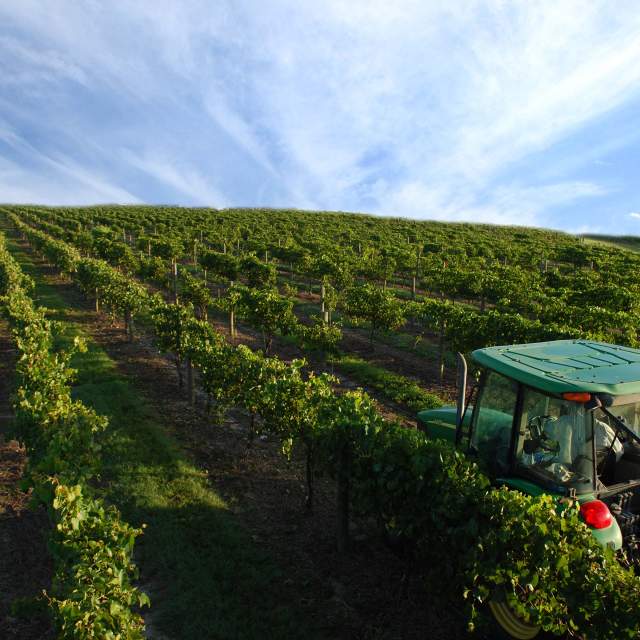 Swirl, Sip & Savor at Wonderful Wineries & Wine Bars