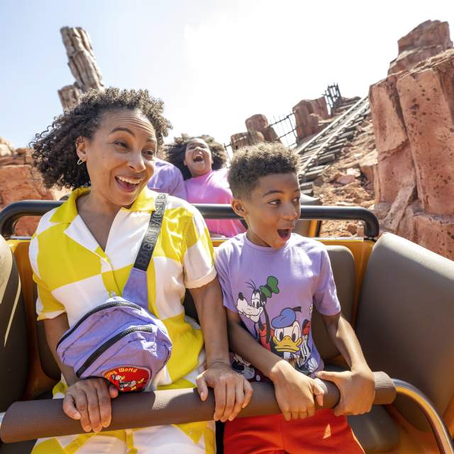 Fast Times for Everyone: Family-Friendly Roller Coasters