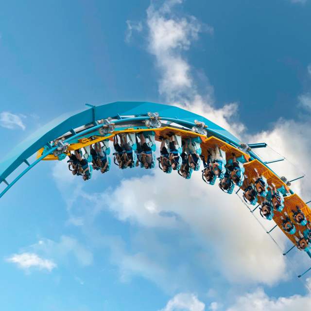 Surf’s Up! Pipeline: The Surf Coaster at SeaWorld® Orlando