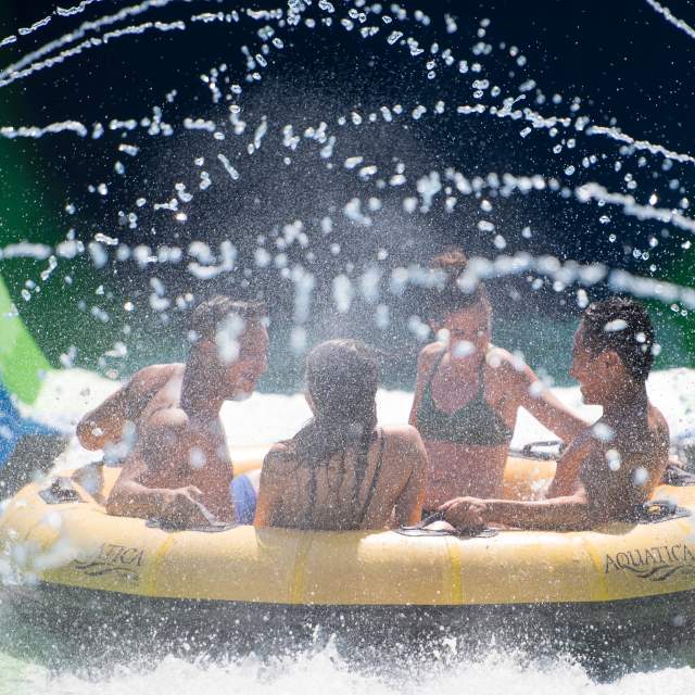 Slide, Splash and Soar With Ray Rush at Aquatica® Orlando