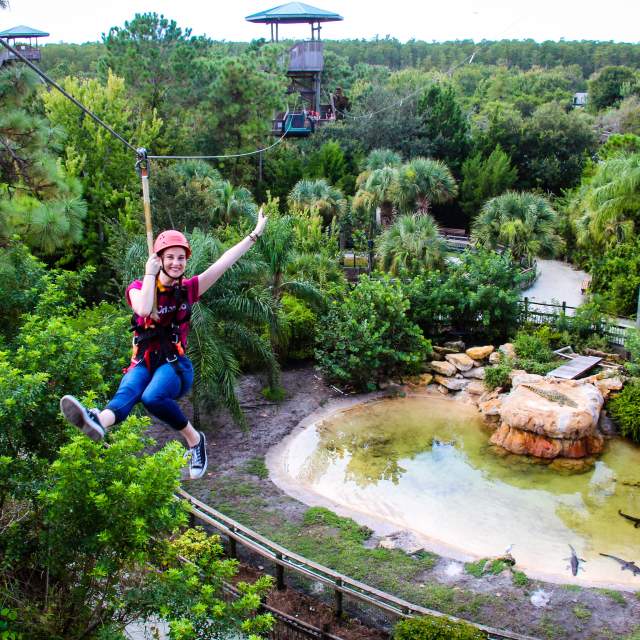 Reach New Heights With Zip Line Adventures