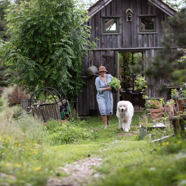 Smakfulle Haldenkanalen - Bøensætre