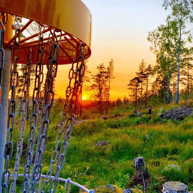 En frisbeegolf kurv i vakker solnedgang