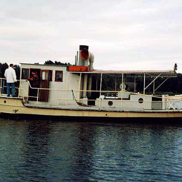 DS Ara