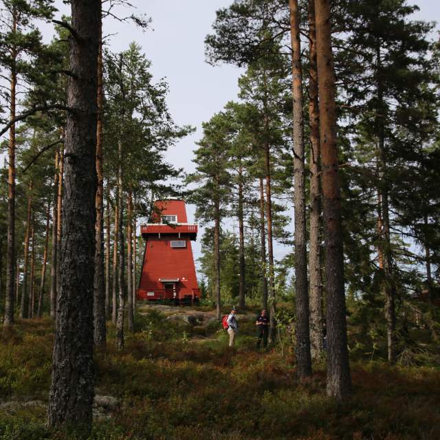 Opplev Grenseland - Haukenestårnet