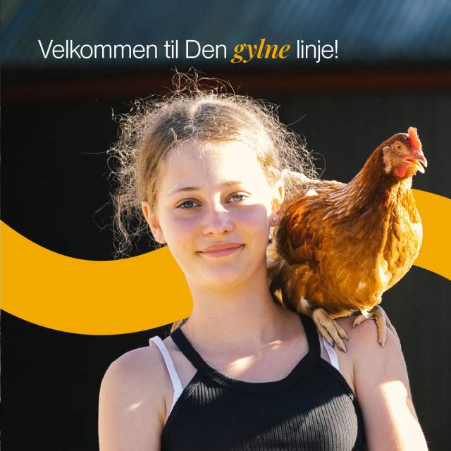 Velkommen til den Gylne linje