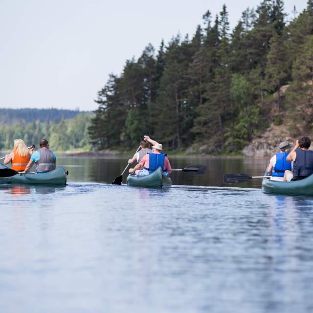 En gruppe mennesker fordelt i tre kanoer padler i sjøen.