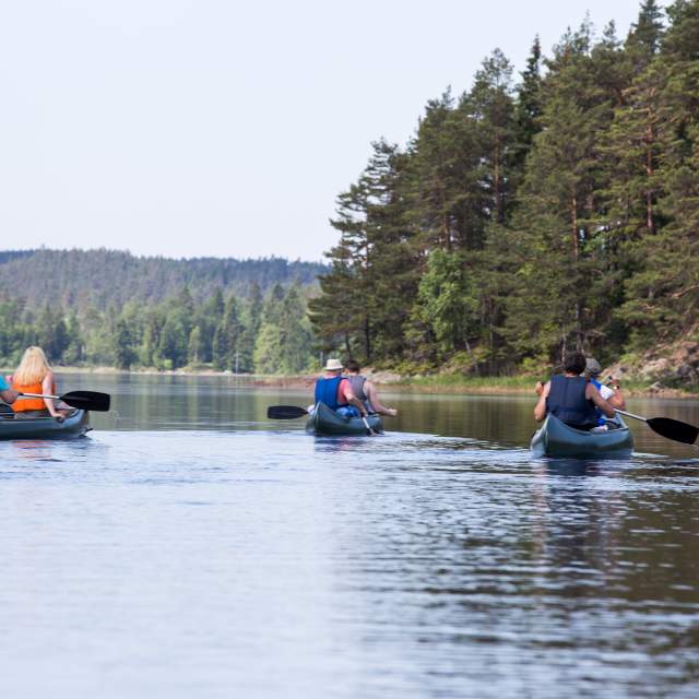 En gruppe mennesker fordelt i tre kanoer padler i sjøen.