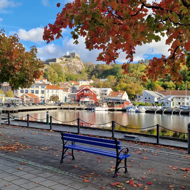 Høst i Halden