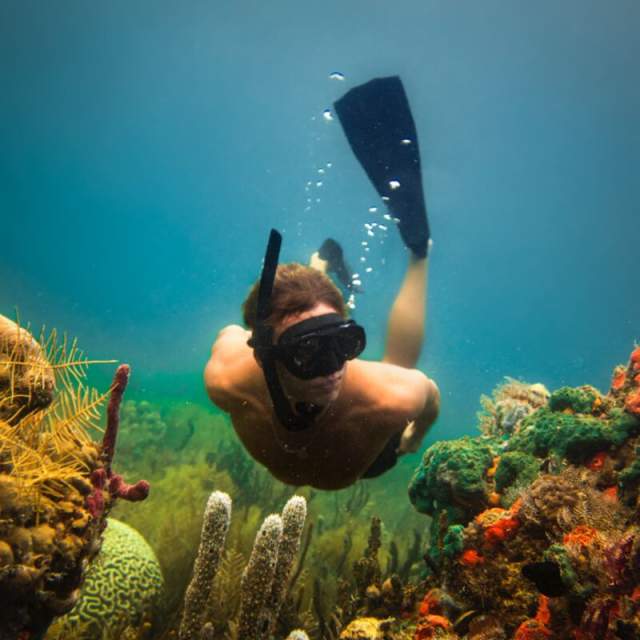 Diver looks at camera, beautiful Coral reef blue sea at Bocas del Toro