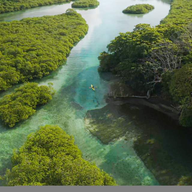 Panoramic aerial shot of a tropical island featuring mangroves, pristine white sand beaches and the turquoise Caribbean Sea.