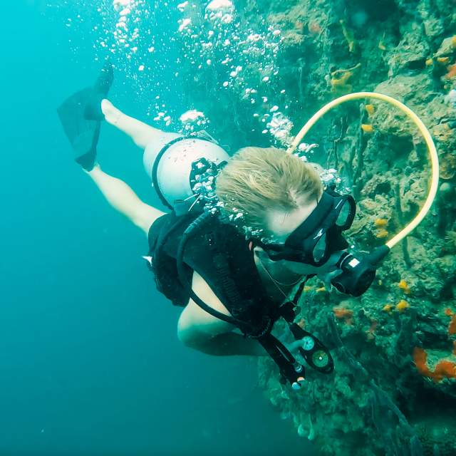 Diving near huge coral reef on a blue waters