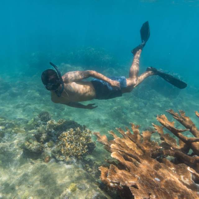 A man swim near reef corals with snorkel mask