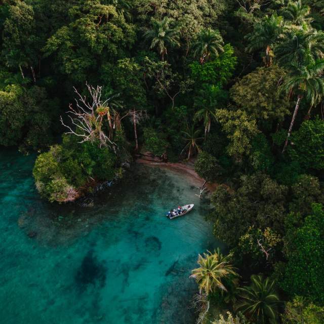 Boat navigating through crystal-clear waters and tropical rainforest of the Panamanian Caribbean.