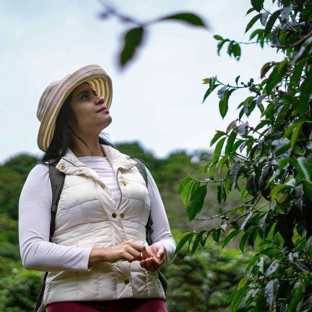 Woman exploring a coffee farm in Tierras Altas, Chiriquí, Panama