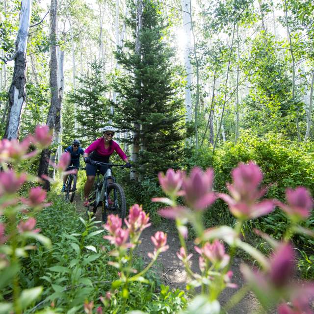 Couple mountain biking on trail with flowers in the foreground.