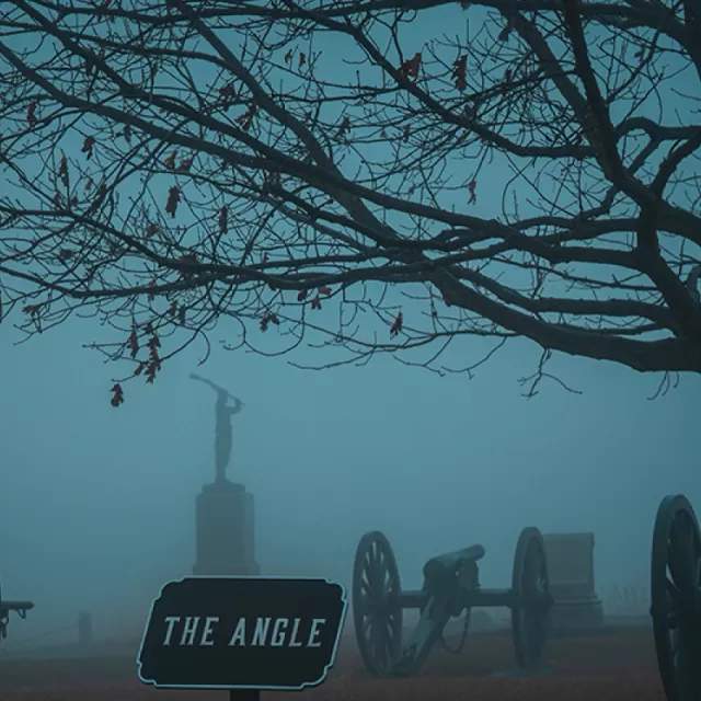 A moody, foggy battlefield scene with tree branches hanging over old school canons