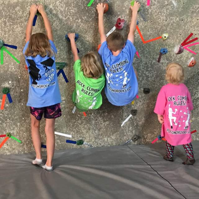 A group of children climbing a rock wall