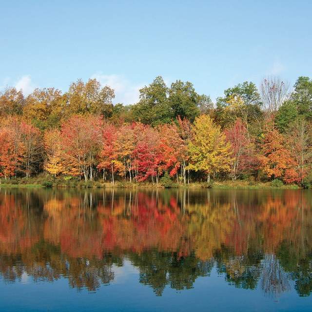 Fall Foliage at PEEC in the Pocono Mountains