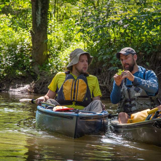 Two men in kayaks look at a leaf