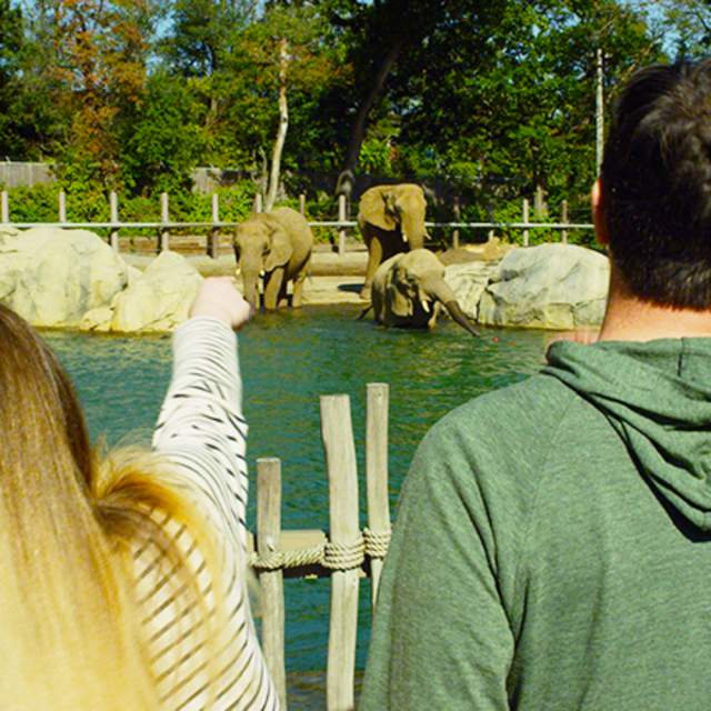 Family At The Roger Williams Park Zoo In Providence, RI