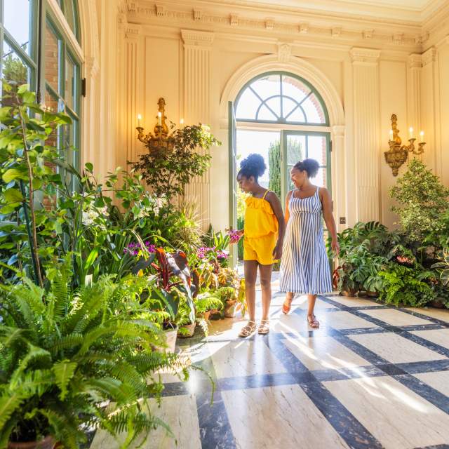 Women looking at a garden