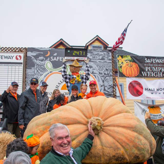 pumpkin festival