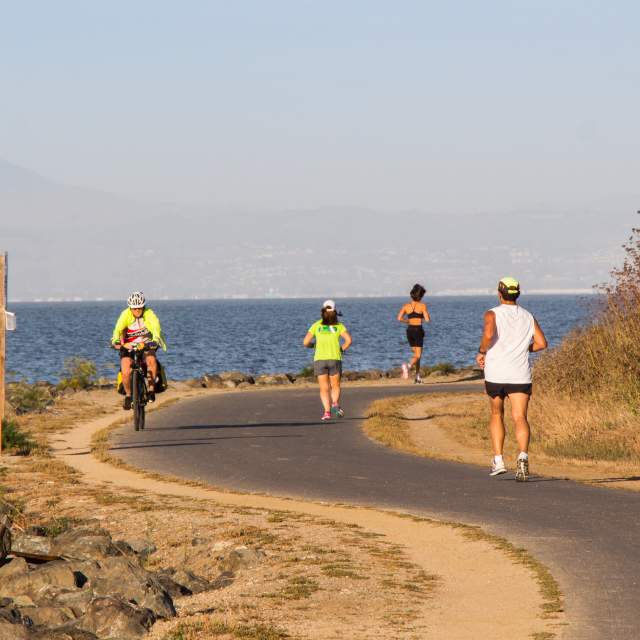 Runners & Bikers on the San Francisco Bay Trail