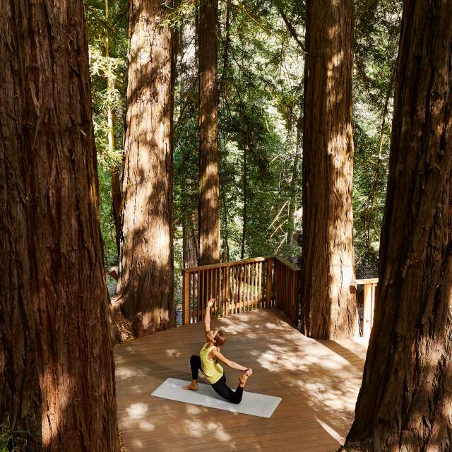 Discover Wellness Activities on The Peninsula: The Healthiest County in California