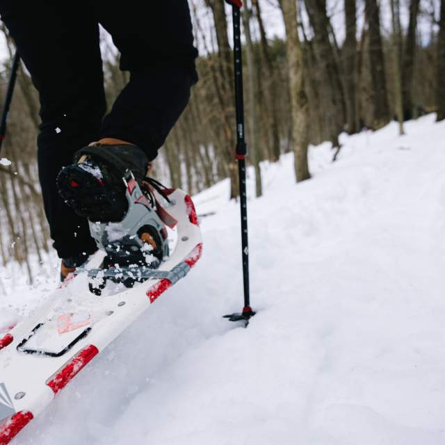 snowshoeing in snow in woods