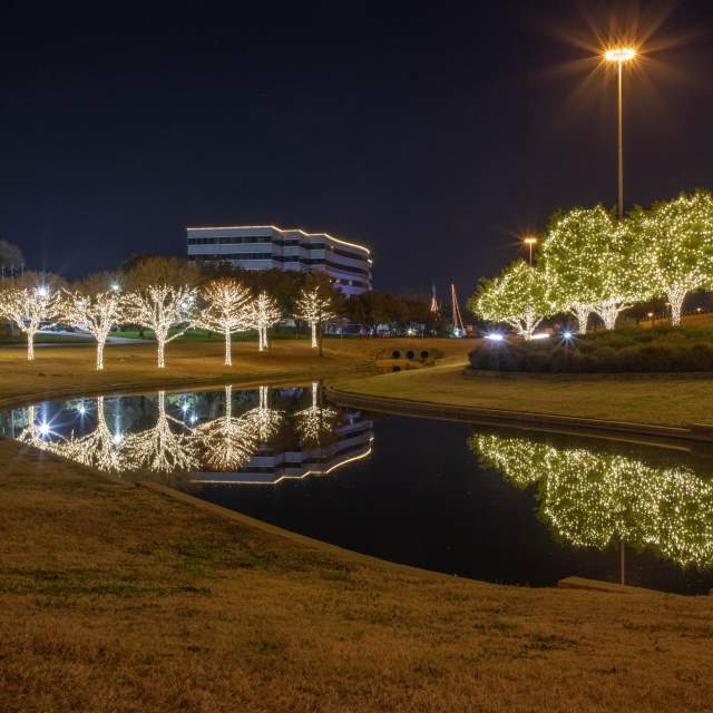 Christmas lights line trees by a pond in Irving