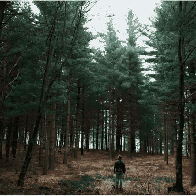 Generative Remove - Simpleview DAM powered by Cloudinary Example showing a person being removed from a photo