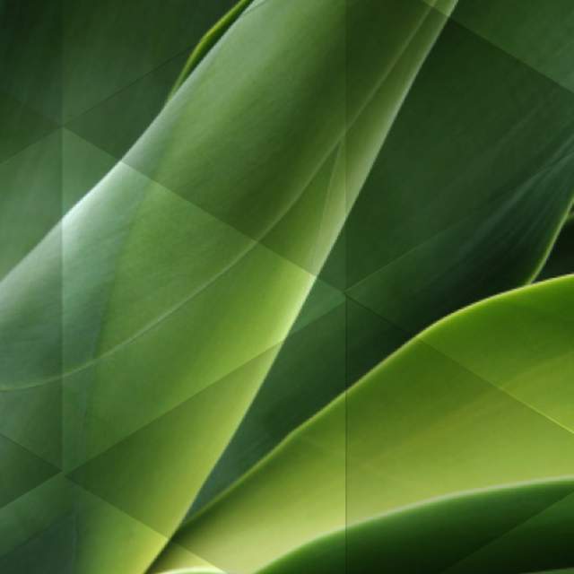 green-agave
