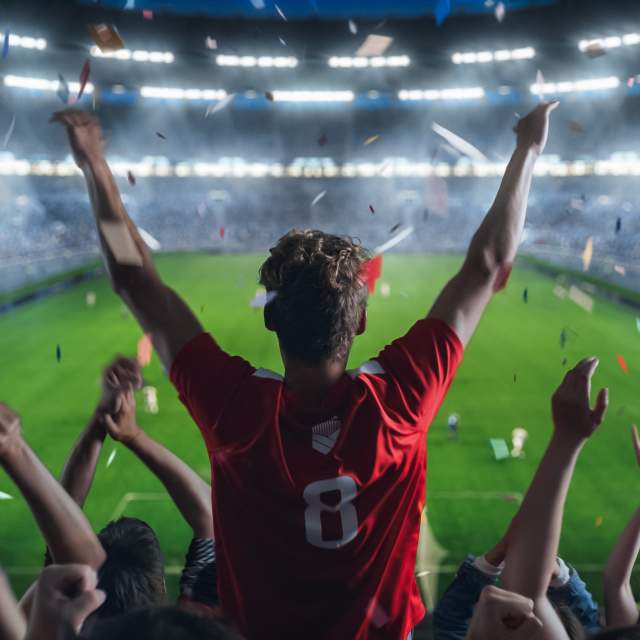 A fan raises his arms in the air as he watches a soccer match take place from the stands.