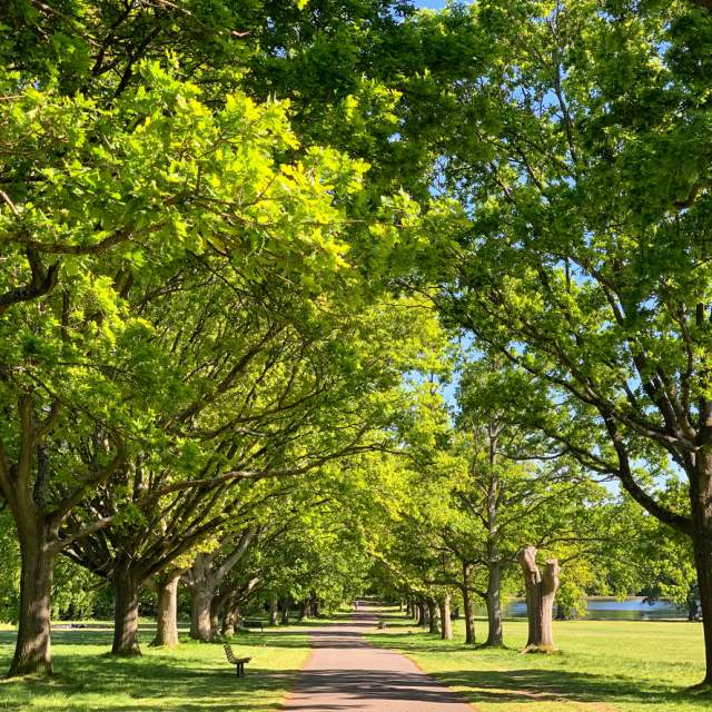 Southampton Common