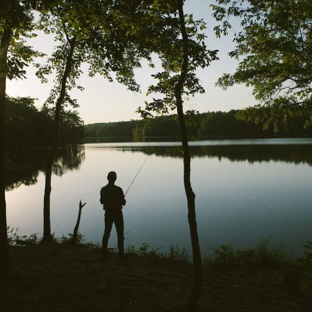 A fisherman casting at Lake Craig at Croft State Park