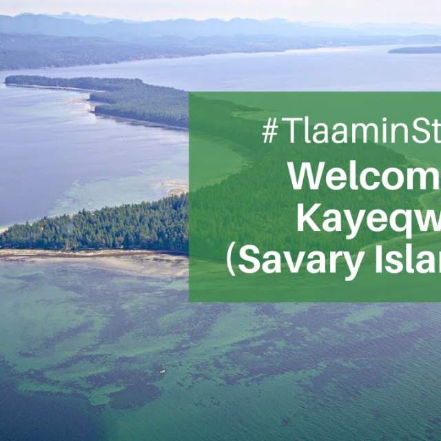 Meet Tla'amin's great Serpent Ihos at Kayeqwan (Savary Island)