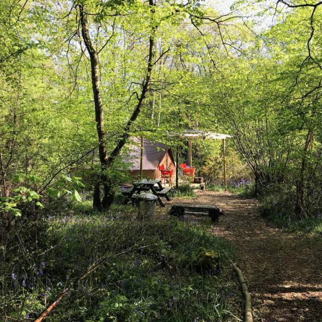 Woodland Glamping at Wild Boar Wood Campsite