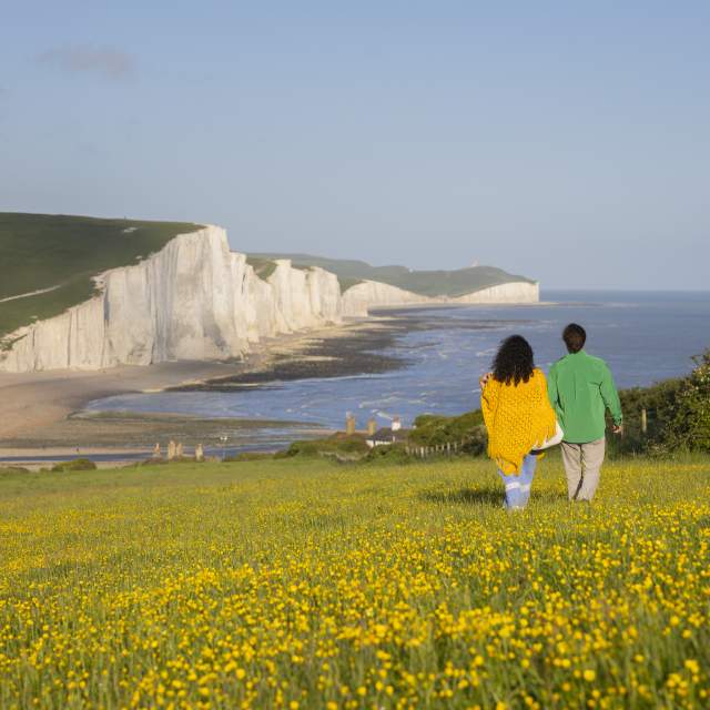 A couple walk across a yellow wildflower meadow on Seaford Head, looking towards the white cliffs of Seven Sisters