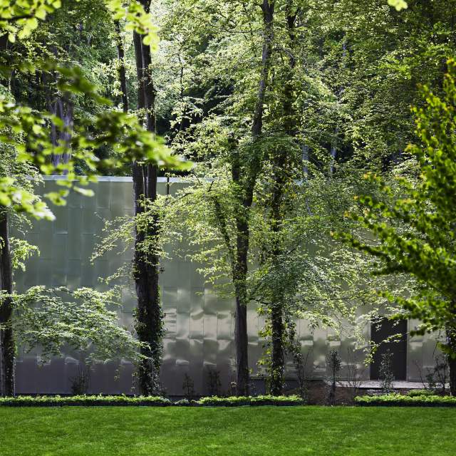 Goodwood Art Foundation in woodland