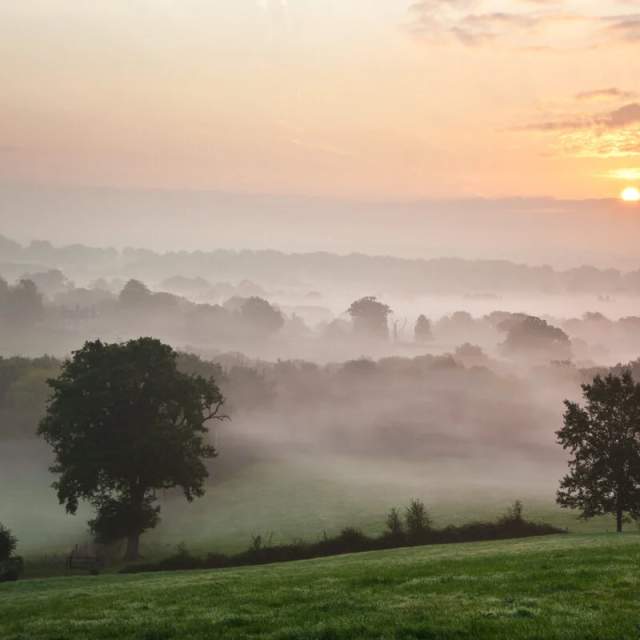High weald misty landscape
