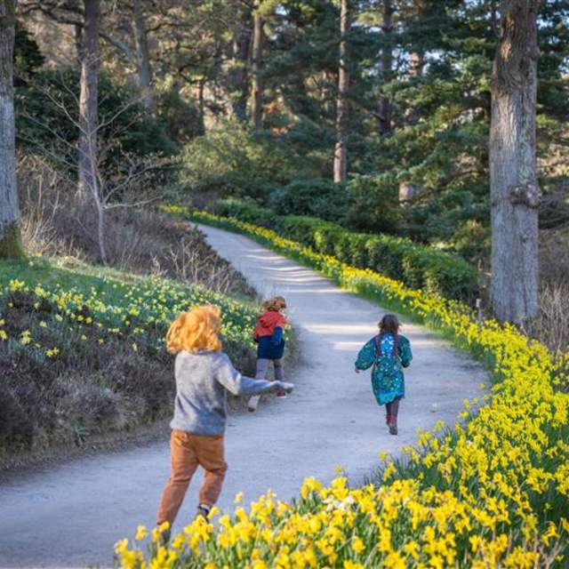 Leonardslee Gardens in Springtime
