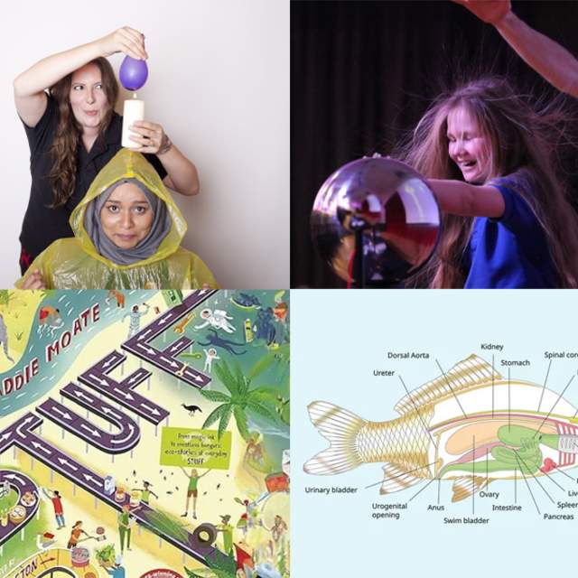 Swansea Science Festival Content