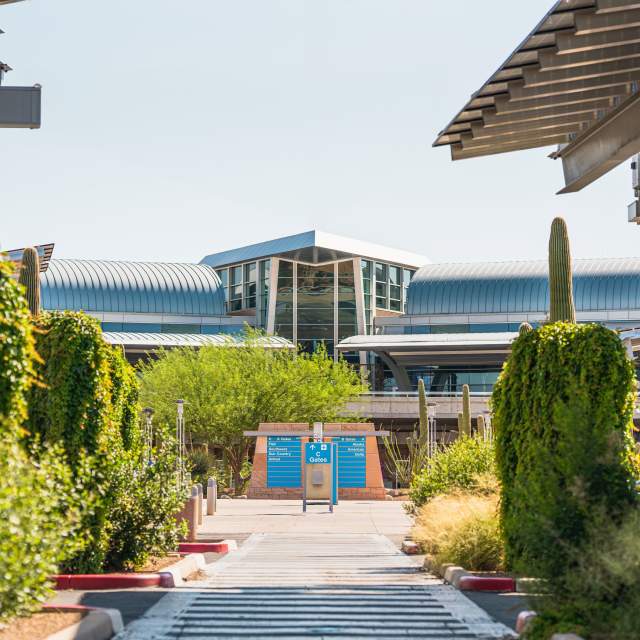 Tucson International Airport with green foliage