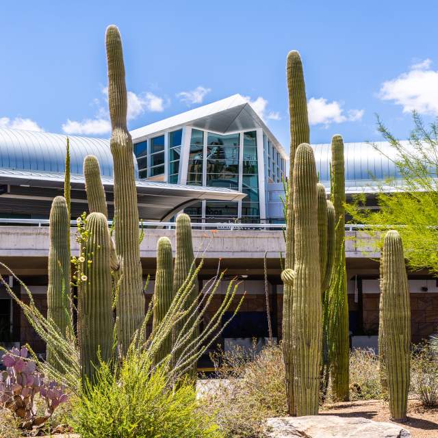 Tucson International Airport Entrance