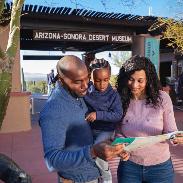 Family with small child reading a map at entrance of the Arizona-Sonora Desert Museum in Tucson