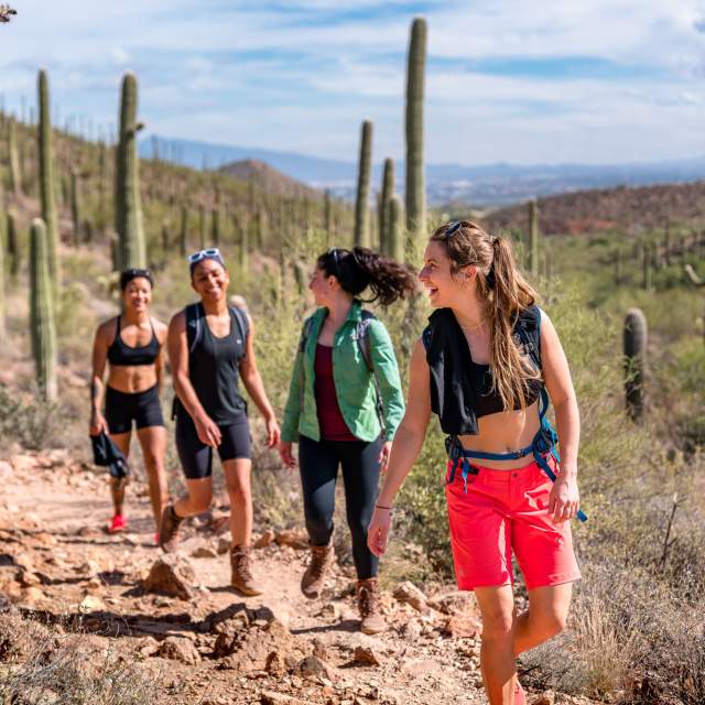 Hiking in Tucson Mountain Park