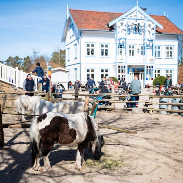 Påske på Kutoppen i Dyreparken